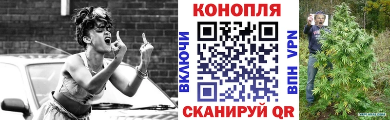 Каннабис White Widow  blacksprut маркетплейс  Балей  закладка 